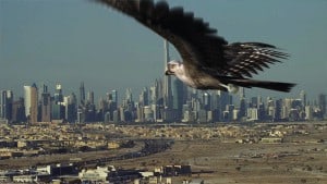 GLUE-VFX-motion-graphics-visual-effects-animation-Vision-2021-Falcon-flying-over-desert-dubai